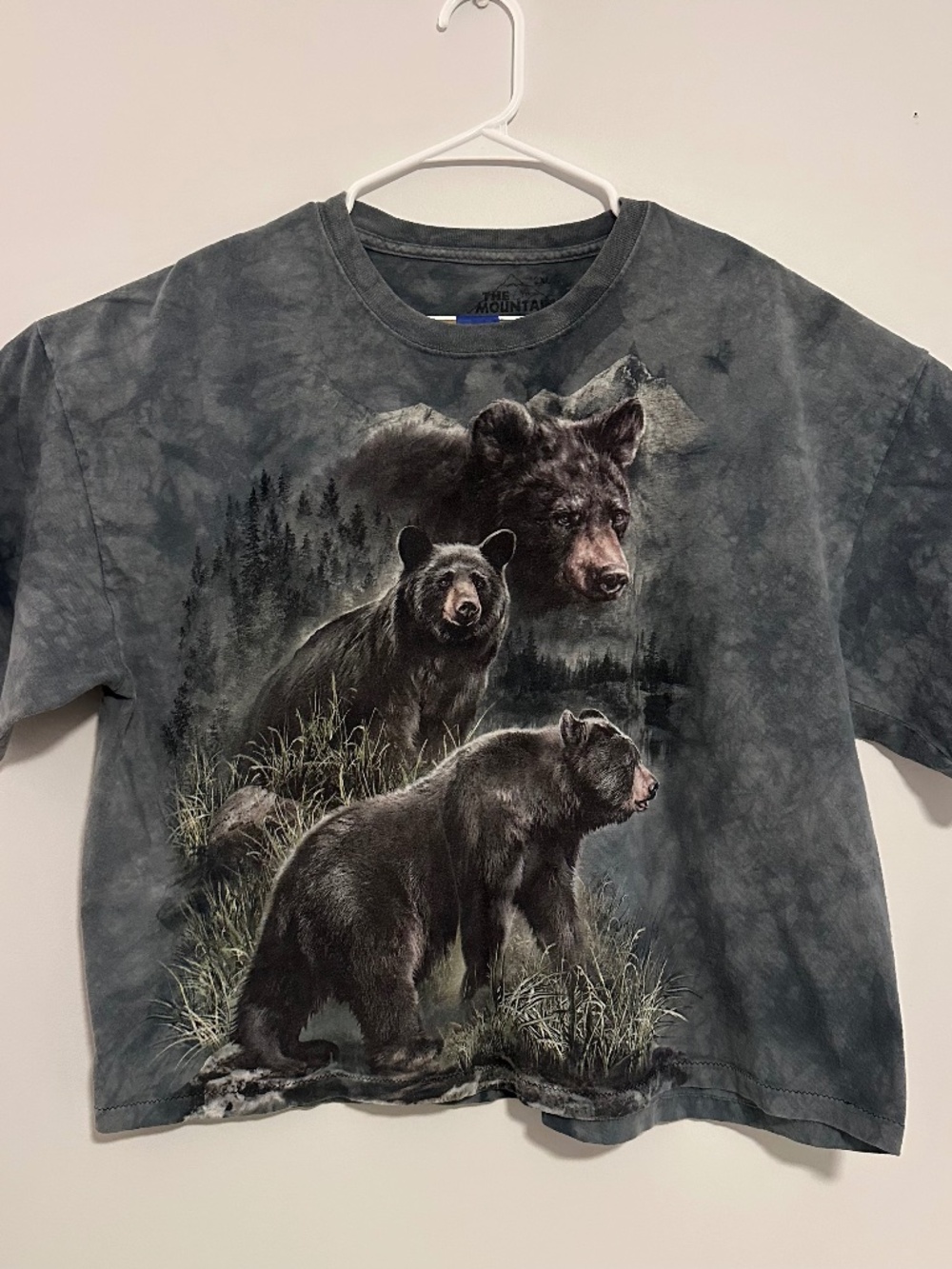 The Mountain Black Bear Cropped Animal Print T-Shirt 2XL Blue Y2K Short Sleeve